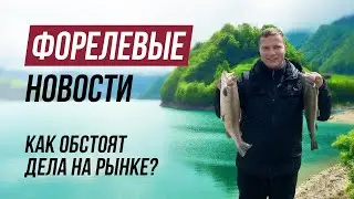 Цены пошли вниз?! Новый ротатор для Panoptix