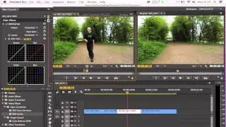 Adobe Premiere Pro CC 2014  Master Clip Effects