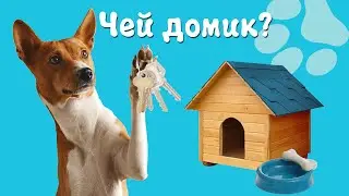 Угадай чей домик? Кто где живет?