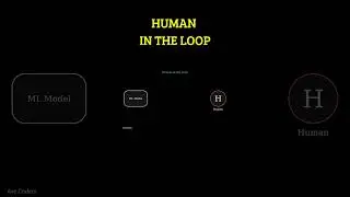 HUMAN IN THE LOOP 