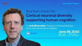 Cortical neuronal diversity supporting human cognition