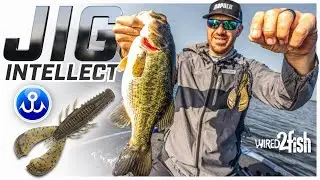 Jacob Wheeler's Top Jig Fishing Secrets Revealed