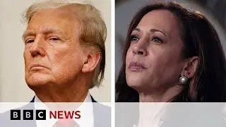 US election: Is Trump or Harris leading in the polls? | BBC News