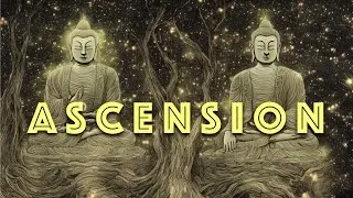 Harmonious Ascension: Ambient Music for Inner Peace and Wellness