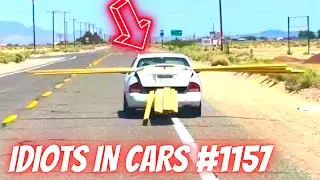 IDIOTS IN CARS 