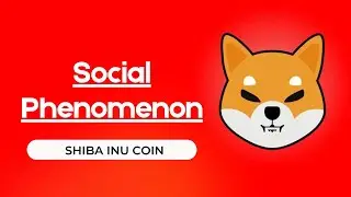 SHIBA INU EXPLODING -LIVE FEED