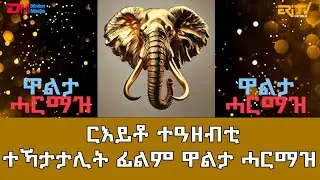 ርእይቶ ተዓዘብቲ ተኻታታሊት ፊልም ዋልታ ሓርማዝ | Eritrean Drama - Walta Harmaz - Viewer comments -ERi-TV