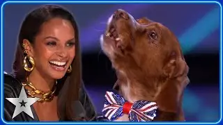 SINGING DOG covers Alesha Dixon’s ‘Breathe Slow’ | Auditions | BGT 2023