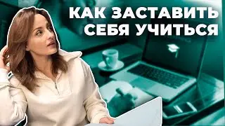 Как заставить себя учиться