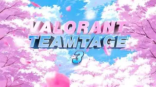 Valorant Teamtage 3