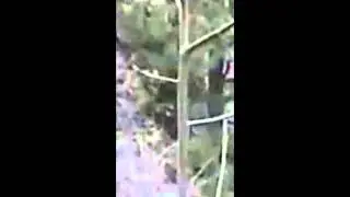 BIGFOOT RESEARCH 13 APRIL 2015  ANALYIS OF BIGFOOT FOOTAGE AND DATABASE