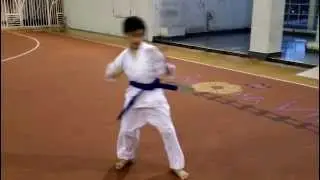 Ashihara Karate: Kata practice - Kumite no kata ichi