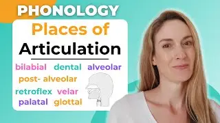 Place of Articulation | Consonant Sounds in English - Phonology