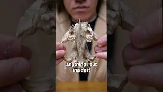 this terrarium will eat anything I put inside it