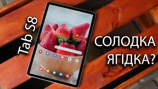 Samsung Galaxy Tab S8: вирішення всіх задач однією покупкою, чи їх ускладнення? Чесний огляд Tab S8