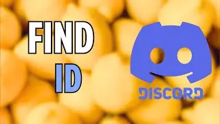 Discord : How to Find Your User ID on Discord (2024)
