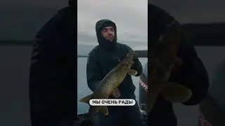 Предсказание спиннингиста или думай как щука #HotSpotPike2