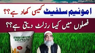 Ammonium Sulphate Fertilizer || What is Ammonium Sulphate || Crop Reformer