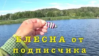 Блесна СУДНОГО ДНЯ. Рыбалка одной приманки.