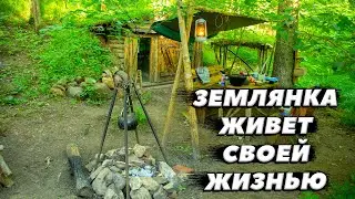 Новая жизнь землянки | ЛЕСНОЙ ДОМ | ИЗБА | FOREST HOUSE | DUGOUT | HUT