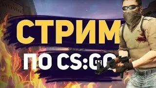 CS:GO LIVE! ВЕБКА! donationalerts.ru/r/championegor - Подкинь Голды! (Like&Sub!)