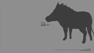 MGS4 - Hog Emblem 🐗