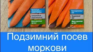 Что посадить осенью 🍁🍁🍁Подзимний посев моркови 🥕🥕🥕Покупка и обзор семян🤗