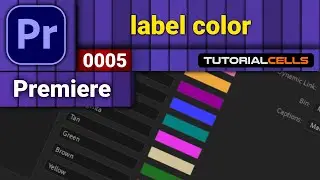 0005. label color in premiere