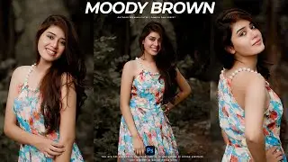 Professional Outdoor Photography Preset l Photoshop Moody brown preset XMP & Dng | Best moody preset