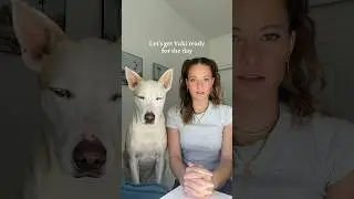 Getting my dog ready for the day✨ 