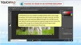 Opening an image and placing an image in an existing document in Photoshop CC 2018