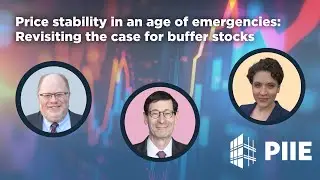 Price stability in an age of emergencies: Revisiting the case for buffer stocks