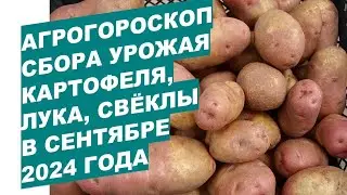 Агрогороскоп сбора урожаяовощей в сентябре 2024Agrohoroscope for vegetable harvest in September 2024