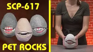 Making SCP-617 | Pet Rocks (SCP Orientation Crafts)