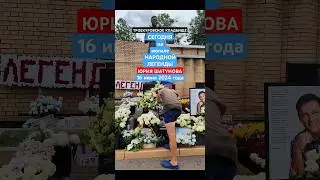 каждому своё: могила Юры Шатунова #shorts #шатунов #shortvideo #2024 #ласковыймай #белыерозы #память