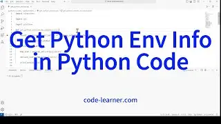 How to Get Python Environment Info in Python Source Code