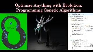 Optimize anything with Evolution: Programming Genetic Algorithms