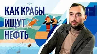 Андрей Власов о добыче нефти в море