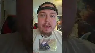 Harambe 
