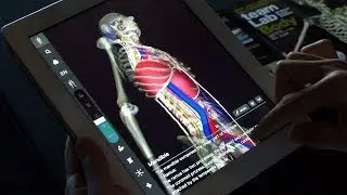 teamLabBody 3D human anatomy app 