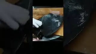 Beta fish cutting|| #amazingskill|| #satisfying||       #shorts