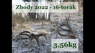 Zhody 2022 - 16-torák / 3,56kg  / Zrzuty 2022 - 16-stak