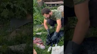 Сделал всё что смог 🥹 Успели спасти ⁉️ #love