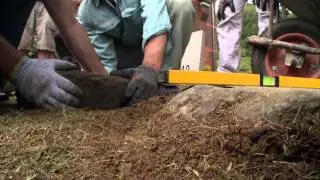 Installing a Stepping Stone Path