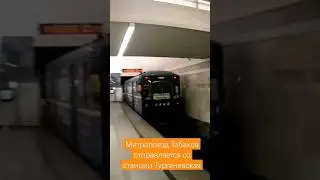 Метропоезд Табаков отправляется со станции Тургеневская 28 сентября 2019