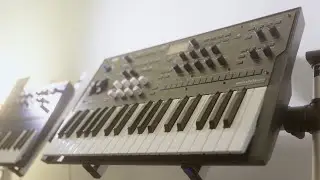 SynthFest 2023 Korg Wavestate MK ii