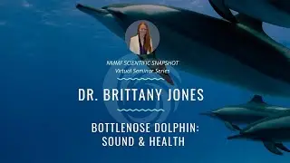 NMMF Scientific Snapshot: Dr. Brittany Jones