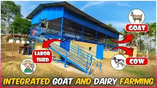 Integrated Goat and Dairy Farm Shed | Integrated Cow and Goat Farming