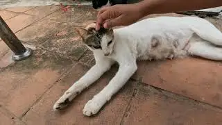 บ่อน้ำร้อน สตูล