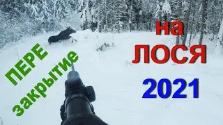 Охота НА ЛОСЯ. УДАЧНЫЙ финал 2021.